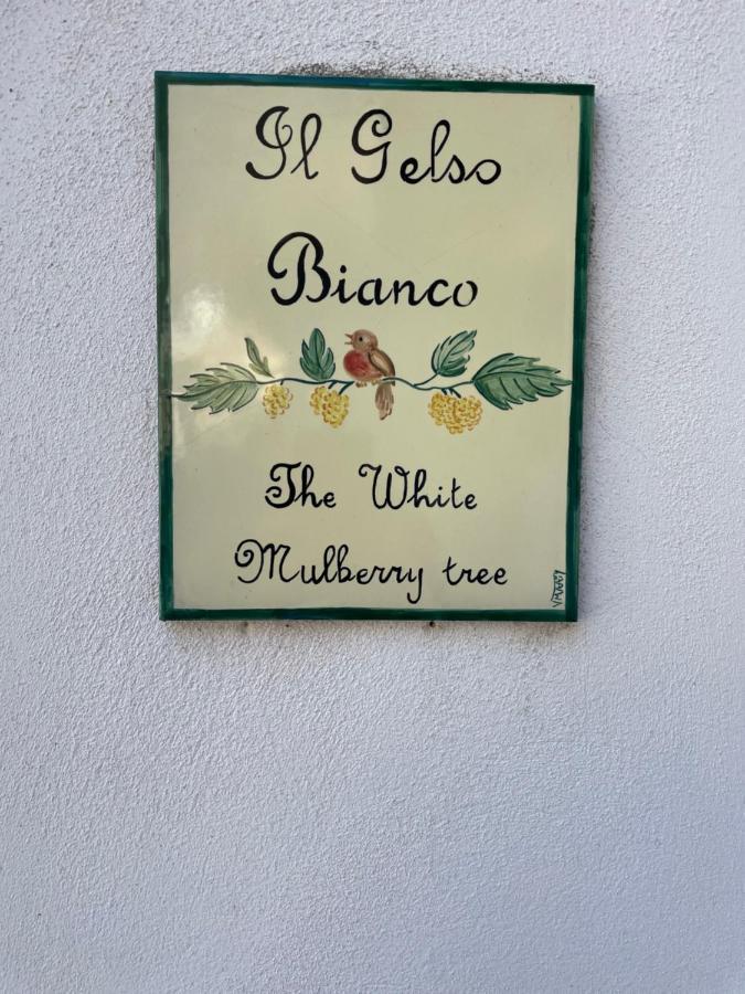 Вилла Il Gelso Bianco -The White Mulberry Tree Равелло Экстерьер фото